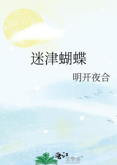 迷蝶是什么意思