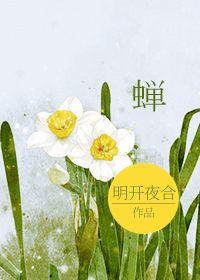 蝉鸣盛夏