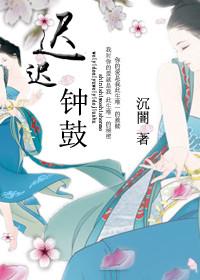迟迟钟鼓初长夜打三个数