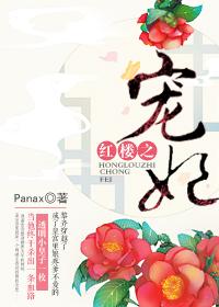 红楼之宠妻成瘾
