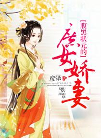 腹黑状元的庶女妻全本