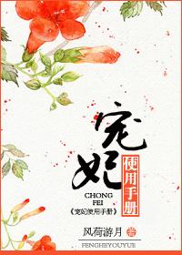 宠妃使用手册免费阅读全文