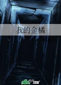 我的金橘晋江