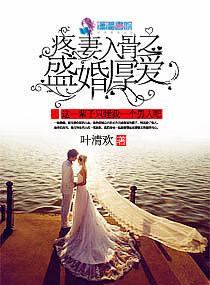 爱妻入骨免费阅读全文