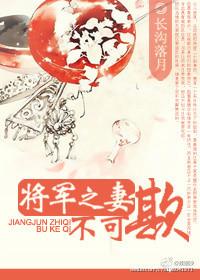 将军妻不可欺第二部