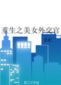 重生之美女外交官txt微盘