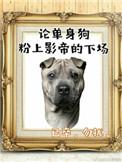 影帝酷爱撒糖无盗章