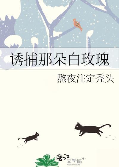 诱捕那朵白玫瑰熬夜注定秃头