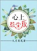 心上惹尘埃番外