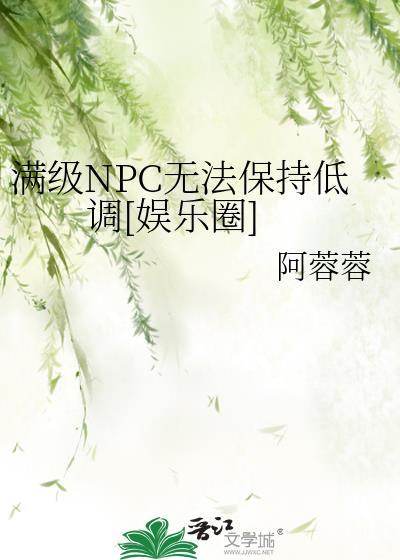 我成为满级npc