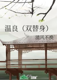 温良双替身清风不换讲了什么