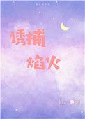 诱捕焰火by银八 完结