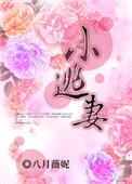 小逃妻短剧