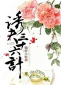 夫36计