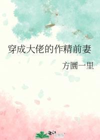 穿成大佬的作精前妻免费阅读叶筝笔趣阁
