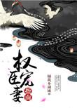 权臣宠妻古言