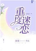 重度迷恋 作者艳归康