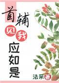 首辅见我应如是 法采讲什么
