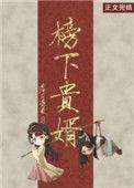 榜下贵婿书评