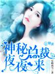 神秘总裁夜来袭全文阅读