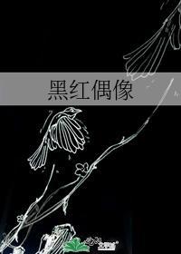 黑红偶像到全球影帝
