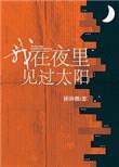 我在夜里见过太阳晋江