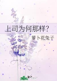 上司为何那样?晋江
