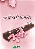 夫妻双穿极品凤淡
