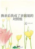 换亲后我成了亲姐姐的对照52