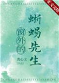 窗外的蜥蜴先生宝书