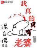 我真的只有一个老婆有几个女主