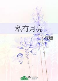 拥有月亮