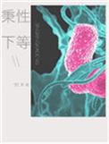 秉性下等陈桥结局