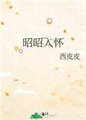 昭昭入怀男主的名字