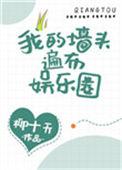 我的墙头遍布娱乐圈笔趣阁