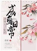 清穿太子妃日常全文免费阅读