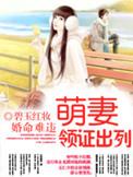 婚难从命txt