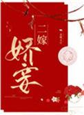 二嫁娇妾主要内容
