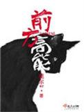 前方高能电影