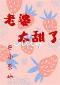 老婆太甜了TXT百度