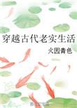 类似穿越古代老实生活