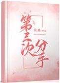 第三次分手讲的什么故事