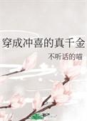 穿成冲喜的假千金晋江文学城