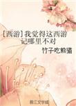 西游我觉得这西游记哪里不对