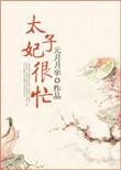 清穿之太子妃很忙