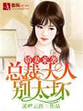总裁大人总裁请克制