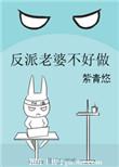 反派老婆不好做 番外