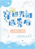 穿进男团选秀后by衣不沾免费阅读全文