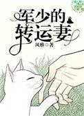 风雅 军少的转运妻