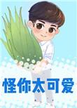 怪你太可爱全文免费阅读